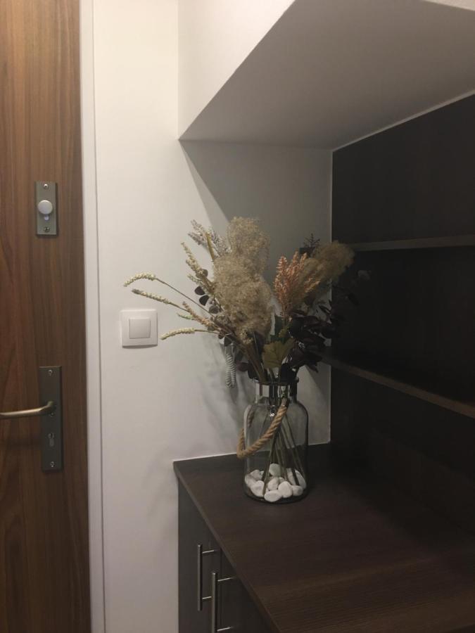 Home Apartment ショプロン エクステリア 写真